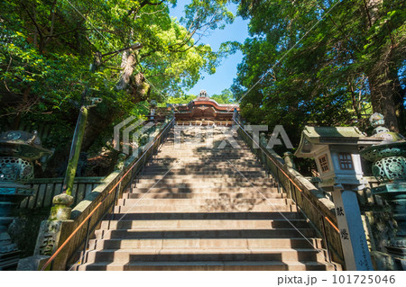 金刀比羅宮（こんぴらさん）：御前四段坂 101725046