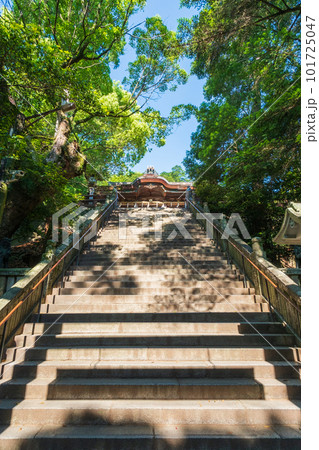 金刀比羅宮(こんぴらさん):御前四段坂 金刀比羅宮(こんぴらさん):御前四段坂 101725047