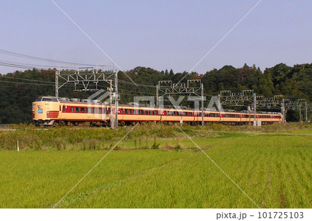 特急しおさい号：183系電車（8両編成：東京⇔銚子） 101725103