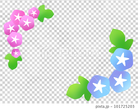 朝顔のフレーム　③ 101725203