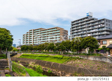 川沿いのマンション　東京都湯殿川　護岸の公園 101725411