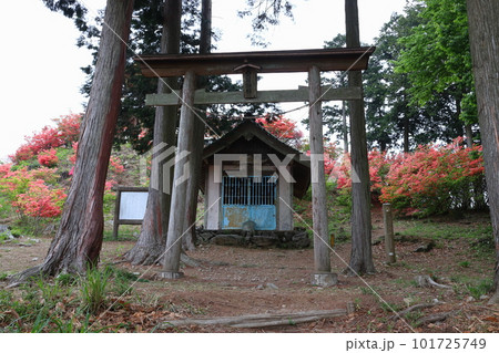 金尾山：愛宕神社（埼玉県大里郡寄居町） 101725749