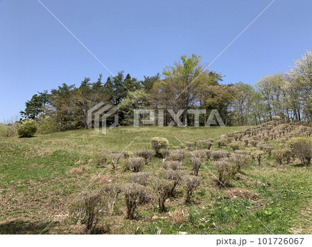4月の田舎の里山 101726067