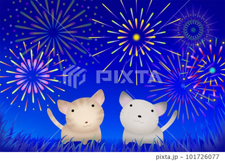 ニャーゴとゴロニャ　花火を見る 101726077