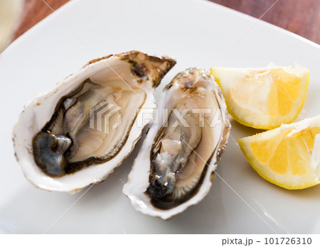 Oysters with lemon on plate Oysters with lemon on plate 101726310