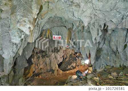 【八重山鍾乳洞 (子宝の鍾乳洞)】 沖縄県石垣市石垣 【八重山鍾乳洞 (子宝の鍾乳洞)】 沖縄県石垣市石垣 101726581