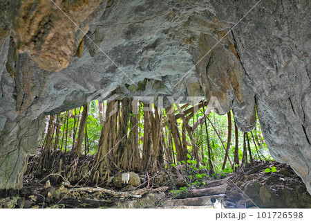 【八重山鍾乳洞 (子宝の鍾乳洞)】 沖縄県石垣市石垣 101726598