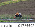 作物を育てる農家の人 101726692