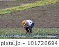 作物を育てる農家の人 101726694
