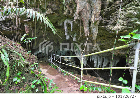 【八重山鍾乳洞 (古代人館鍾乳洞)】 沖縄県石垣市石垣 【八重山鍾乳洞 (古代人館鍾乳洞)】 沖縄県石垣市石垣 101726727