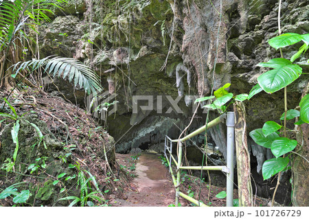 【八重山鍾乳洞 (古代人館鍾乳洞)】 沖縄県石垣市石垣 【八重山鍾乳洞 (古代人館鍾乳洞)】 沖縄県石垣市石垣 101726729