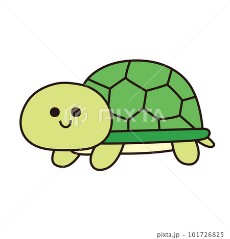 可愛いカメのイラスト 可愛いカメのイラスト 101726825