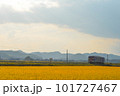 夕暮れの田園風景の中を走る1両の列車 101727467