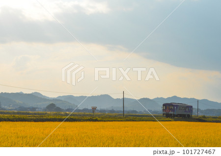 夕暮れの田園風景の中を走る1両の列車 夕暮れの田園風景の中を走る1両の列車 101727467