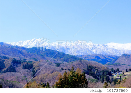 高社神社の桜 信州の桜 花と植物が織りなす色紙 高社神社の桜 信州の桜 花と植物が織りなす色紙 101727660