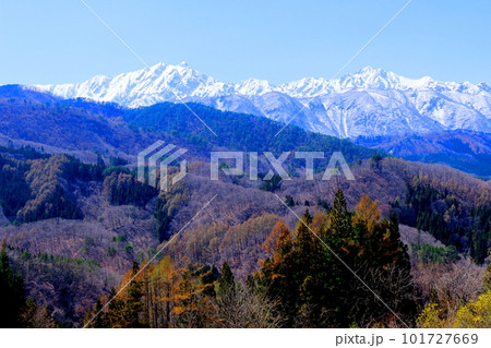 高社神社の桜 信州の桜 花と植物が織りなす色紙 高社神社の桜 信州の桜 花と植物が織りなす色紙 101727669