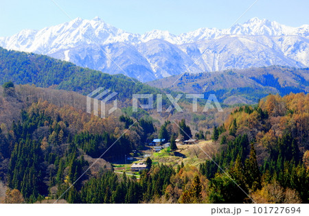 高社神社の桜 信州の桜 花と植物が織りなす色紙 高社神社の桜 信州の桜 花と植物が織りなす色紙 101727694