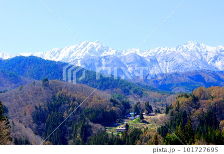 高社神社の桜 信州の桜 花と植物が織りなす色紙 高社神社の桜 信州の桜 花と植物が織りなす色紙 101727695