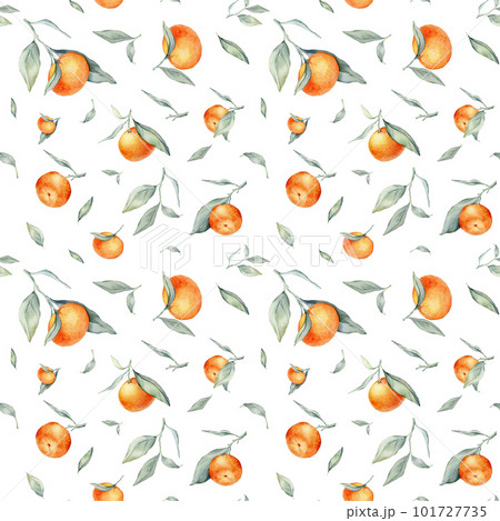 Seamless watercolour citrus fruits and leaves pattern. Green leaves and orange fruits on white background. Seamless mandarin and oranges watercolour illustration 101727735