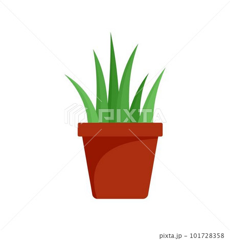 Aloe vera in pot icon. Flat illustration of aloe vera in pot vector icon for web isolated on white Aloe vera in pot icon. Flat illustration of aloe vera in pot vector icon for web isolated on white 101728358