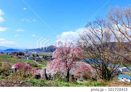 見晴らし農道 花と植物が織りなす色紙 見晴らし農道 花と植物が織りなす色紙 101728415