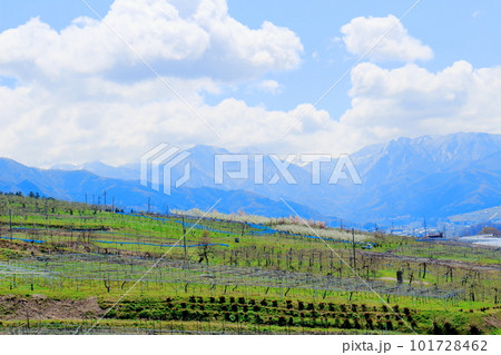 見晴らし農道 花と植物が織りなす色紙 見晴らし農道 花と植物が織りなす色紙 101728462