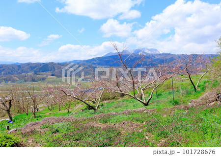 見晴らし農道 花と植物が織りなす色紙 見晴らし農道 花と植物が織りなす色紙 101728676