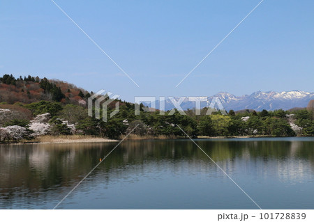 東北の名庭園南湖公園から望む桜と那須連峰 東北の名庭園南湖公園から望む桜と那須連峰 101728839