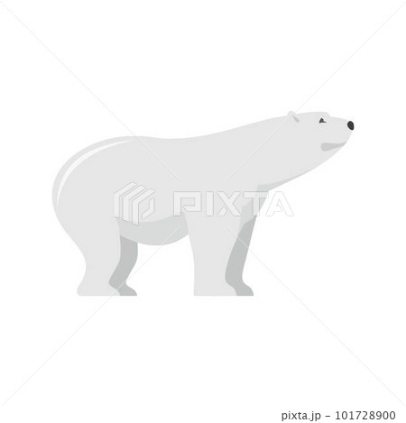 Watching of polar bear icon. Flat illustration of watching of polar bear vector icon for web isolated on white 101728900