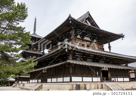 東大寺の五重塔と金堂 東大寺の五重塔と金堂 101729151