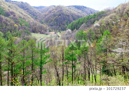 春の信州 花と植物が織りなす色紙 春の信州 花と植物が織りなす色紙 101729237