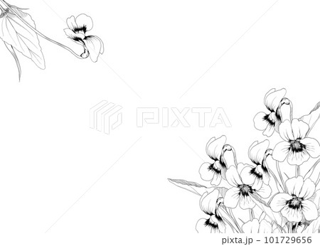 スミレの花の白黒線画イラストのフレームのイラスト素材 [101729656