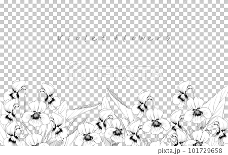 紫羅蘭花的黑白線描插圖框架 101729658