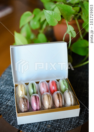 カラフルなマカロン 蓋つき カラフルなマカロン 蓋つき 101729903