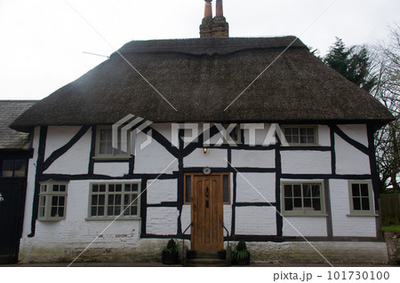 茅葺屋根 101730100