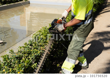 The gardener trims the bushes with a trimmer machine. 101730320