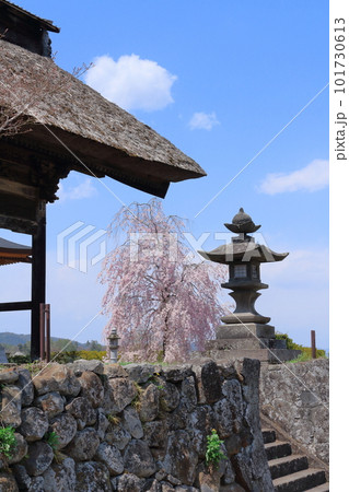 桜の津金寺　　　信州の神社仏閣　　　麗しき神社仏閣　　いにしえの神社仏閣 101730613