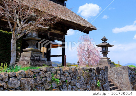桜の津金寺　　　信州の神社仏閣　　　麗しき神社仏閣　　いにしえの神社仏閣 101730614