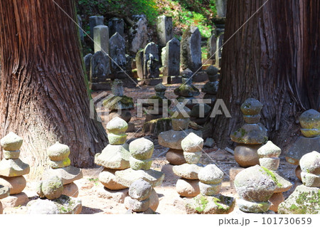 桜の津金寺 信州の神社仏閣 麗しき神社仏閣 いにしえの神社仏閣 桜の津金寺 信州の神社仏閣 麗しき神社仏閣 いにしえの神社仏閣 101730659
