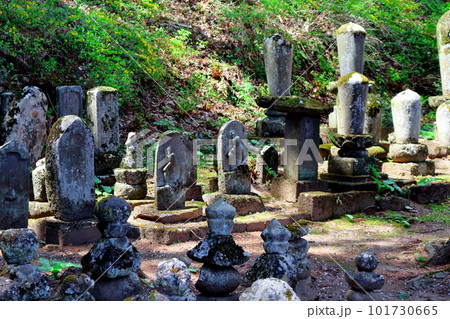 桜の津金寺 信州の神社仏閣 麗しき神社仏閣 いにしえの神社仏閣 桜の津金寺 信州の神社仏閣 麗しき神社仏閣 いにしえの神社仏閣 101730665