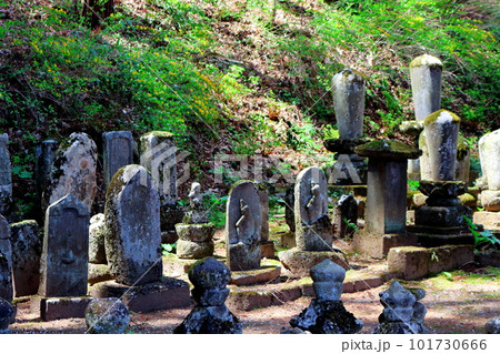 桜の津金寺 信州の神社仏閣 麗しき神社仏閣 いにしえの神社仏閣 桜の津金寺 信州の神社仏閣 麗しき神社仏閣 いにしえの神社仏閣 101730666