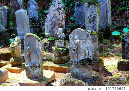 桜の津金寺　　　信州の神社仏閣　　　麗しき神社仏閣　　いにしえの神社仏閣 101730691