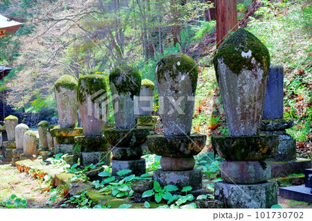 桜の津金寺 信州の神社仏閣 麗しき神社仏閣 いにしえの神社仏閣 桜の津金寺 信州の神社仏閣 麗しき神社仏閣 いにしえの神社仏閣 101730702