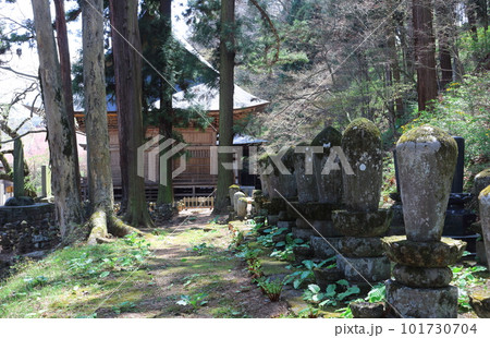桜の津金寺 信州の神社仏閣 麗しき神社仏閣 いにしえの神社仏閣 桜の津金寺 信州の神社仏閣 麗しき神社仏閣 いにしえの神社仏閣 101730704