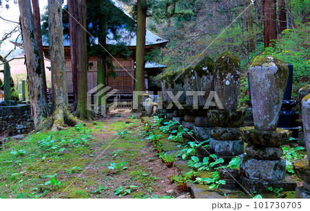 桜の津金寺　　　信州の神社仏閣　　　麗しき神社仏閣　　いにしえの神社仏閣 101730705