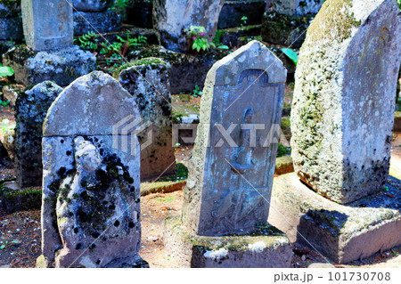 桜の津金寺　　　信州の神社仏閣　　　麗しき神社仏閣　　いにしえの神社仏閣 101730708