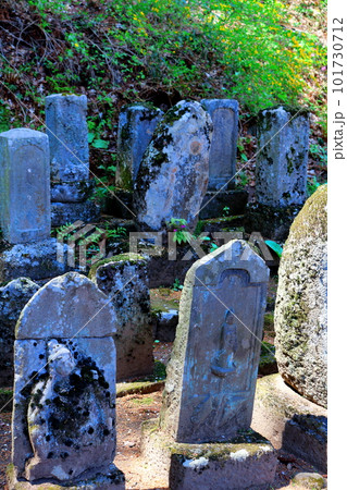 桜の津金寺　　　信州の神社仏閣　　　麗しき神社仏閣　　いにしえの神社仏閣 101730712