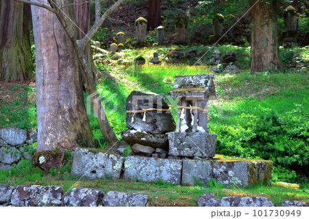 桜の津金寺 信州の神社仏閣 麗しき神社仏閣 いにしえの神社仏閣 桜の津金寺 信州の神社仏閣 麗しき神社仏閣 いにしえの神社仏閣 101730949