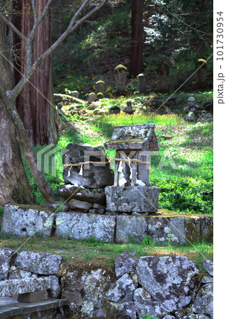 桜の津金寺　　　信州の神社仏閣　　　麗しき神社仏閣　　いにしえの神社仏閣 101730954