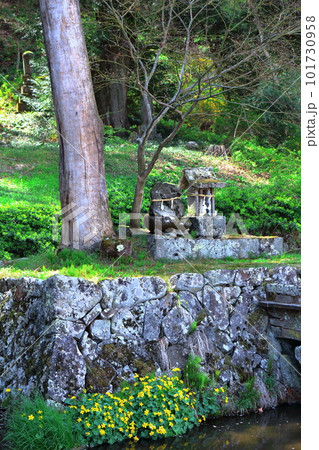 桜の津金寺　　　信州の神社仏閣　　　麗しき神社仏閣　　いにしえの神社仏閣 101730958